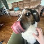 Juliet Powell - @julietpowell2028 - Instagram
