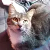 Juliet Reed - @juliet.8473 - TikTok