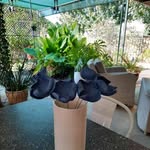 Julie Winn - @juliewinnceramics - Instagram