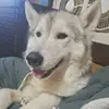 JulietDeWolfe - @julietdewolfe - TikTok