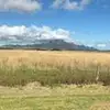 julietteboyd_ - @julietteboyd_ - TikTok