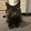 juliette_gordon - @juliette_gordon - TikTok