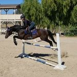Juliette - @juliettehallie_equestrian - Instagram