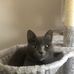 Juliette Ruth Hall - Facebook