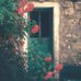 Juliette Larson - Facebook