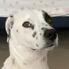Juliettelovesmason - @juliettelovesmason - TikTok