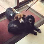Mason & Juliette - @mason_and_juliette - Instagram
