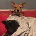 Juliette McCall - Facebook