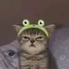 Mateenxxkingxx2 - @julietteramirez66 - TikTok