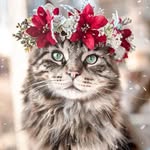 Juliette Suarez - @julyros1009 - Instagram