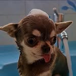 Julio Abrego - @julito_abrego_ - Instagram
