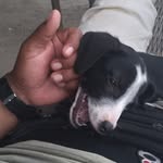 Julio Abrego - @julio.abrego.961 - Instagram
