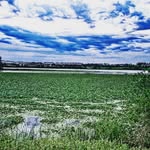 Julio barcelo - @barcelojul12 - Instagram