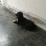 Julio Bolaños - @julio.bolanos.589 - Instagram