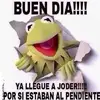 juliobonet976 - @juliobonet976 - TikTok