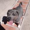 Julio Calvillo - @tiktok74529boy - TikTok
