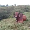juliocollado81 - @juliocollado81 - TikTok