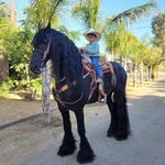 Julio Corrales - @rancholoscorrales.rlc - Instagram