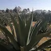 Julio Elizalde - @julioelizalde123 - TikTok