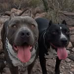 JulioEsteban - @lifeofpits_ - Instagram