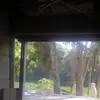 juliofont67 - @juliofont67 - TikTok