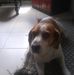 Julio Forero - Facebook