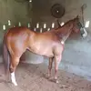 Julio Forero Galvis - @julioforerogalvis - TikTok