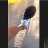 Julio Gurrola - @juliogurrola4 - TikTok