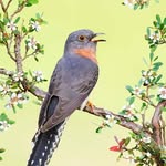 Julio Jaquez - @jaquez8066 - Instagram