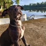 Julio Knight - @julioknight01 - Instagram