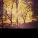 @julio.lambert - Instagram