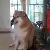 julio - @julio.land2 - TikTok