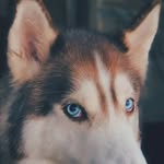 Julio Lasso - @julio.lasso.73 - Instagram