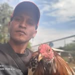 Julio Lasso Lasso - @juliolassolasso - Instagram