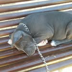 Julio Latorre - @julio.latorre.98031 - Instagram