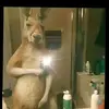 Julio - @juliolazo49 - TikTok