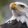 julio leiva - @julioleiva264 - TikTok