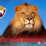 Julio Lema - @juliolema71 - Instagram