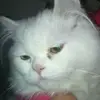 Leonor_julio😍 - @leonorjulio543 - TikTok