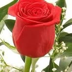 Julio Limas - Facebook