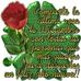 Julio lino - Facebook