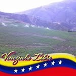 Julio Lobo - @julio.lobo.549 - Instagram
