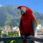 Julio Lobo - Facebook