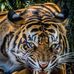 Julio LOC - Facebook