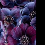 @juliolordc - Instagram