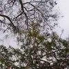 Julio Mayo - @julio.mayo6 - TikTok