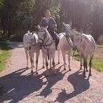 Julio Obregon - @obregon1227 - Instagram