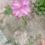 yusimi - @julio.oquendo102 - Instagram
