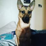 Julio Perales - @xwhoxleox - Instagram