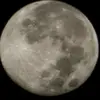 julioquevedo171 - @julioquevedo1711 - TikTok